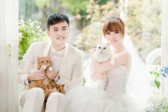 禮服出租 首選最愛 婚紗禮服，各式款式 晚宴禮服、新娘禮服、晚禮服 供挑選。#禮服出租 #婚紗禮服 #晚宴禮服 #新娘禮服 #晚禮服