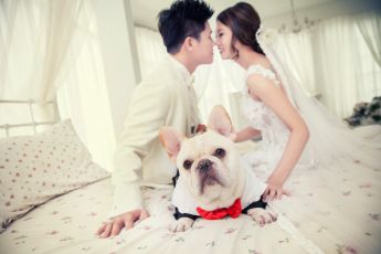 禮服出租 首選最愛 婚紗禮服，各式款式 晚宴禮服、新娘禮服、晚禮服 供挑選。#禮服出租 #婚紗禮服 #晚宴禮服 #新娘禮服 #晚禮服