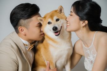 禮服出租 首選最愛 婚紗禮服，各式款式 晚宴禮服、新娘禮服、晚禮服 供挑選。#禮服出租 #婚紗禮服 #晚宴禮服 #新娘禮服 #晚禮服